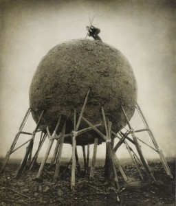 © Robert et Shana ParkeHarrison