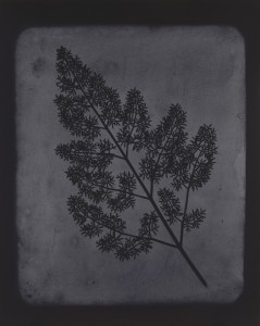 © Hiroshi Sugimoto, courtesy of Gallery Koyanagi, 2012.