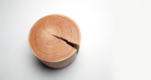 © Nico Neefs
Horloge 220 v.
en mélèze, 2013
Dimensions : Ø 24cm,
chaque pièce est unique