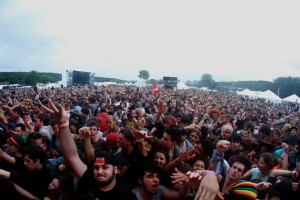 Le Rock Dans Tous Ses Etats