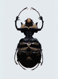 © Laurent Seroussi // www.laurentseroussi.com