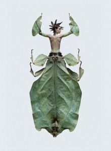 © Laurent Seroussi // www.laurentseroussi.com