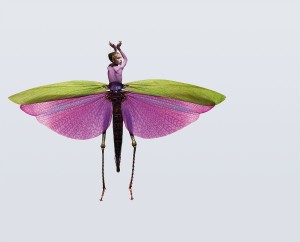 © Laurent Seroussi // www.laurentseroussi.com