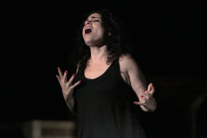 Rinat Shaham (Donna Elvira)