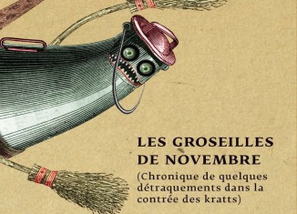Les groseilles de novembre