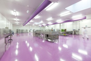 CHOCOLATE LINE factory