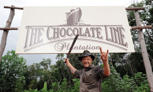 Plantation cacao, Dominique Persoone