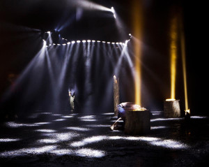 Le bruit des os qui craquent © Fabien Debrabandere