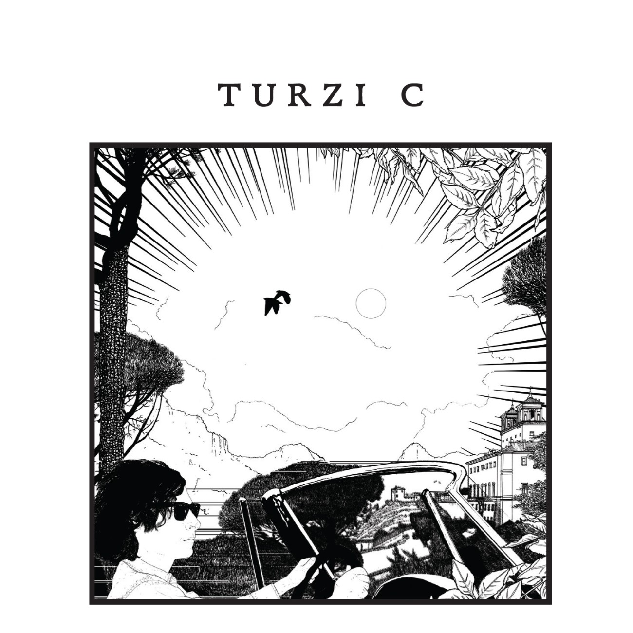 Turzi