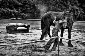 © Thomas Chaussebourg