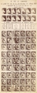 2015316162920872-alphonse-bertillon-classificatiesysteem-voor-neus-en-oor-van-de-dkv-albums-service-de-lidentite-judiciaire-1903.-fotomuseum-provincie-antwerpen