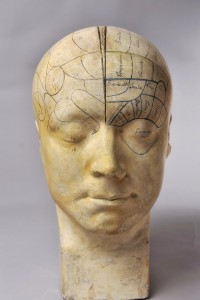 Anoniem,-Frenologisch-hoofd,-eerste-helft-19de-eeuw.-Musée-Flaubert-et-d'Histoire-de-la-Médecine,-Rouen