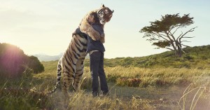 TIGER HUG, 2011, image shot in Cape town