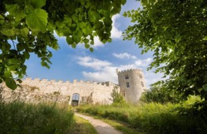 chateau©remi vimont
