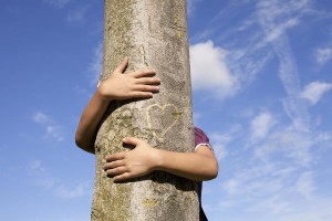 J'ai un arbre dans mon coeur © Hjalmeida