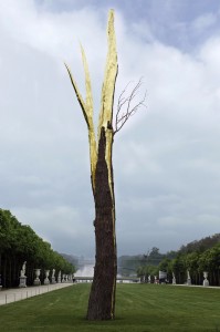 ©Giuseppe Penone