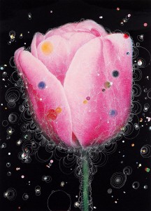 Darwin Tulip Mr. Van Zijn A - 2015