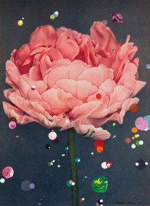 Dubbele Late Tulp Eros 2015 [book-plate]