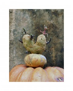 Patate-Coeurs - 2002 - ©Agnès Varda