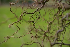 ©-Les-Editions-Gaud