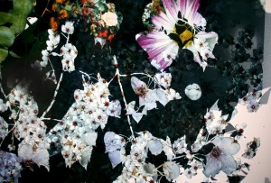 Baptiste Rabichon
Encore elle
photographies
Production Le Fresnoy – Studio national des arts contemporains
© Baptiste Rabichon