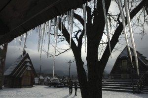 ©Slobodan Pikula