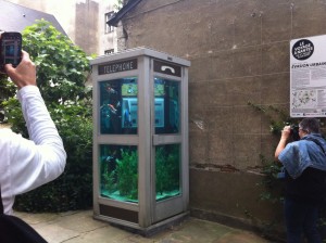 La cabine téléphonique aquarium / Nantes / Benedetto Bufalino et Benoît Deseille