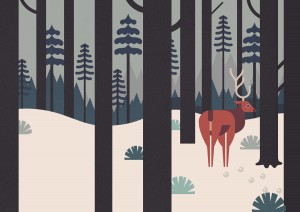 Deer Woods Trees Forest