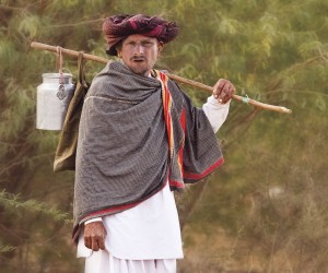 Milch Günther