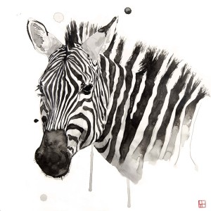 Wildlife Zebra