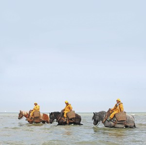 (c) Dirk Van Hove