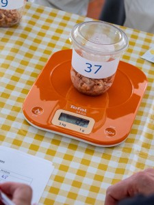 fete de la plage j2-74