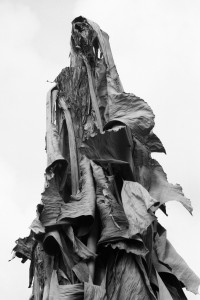 Peuple sans visage © Mujesira Elezovic