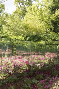 DE L'AUTRE CÔTÉ DU MIROIR