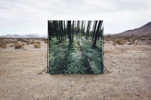 Beautiful Lies (c) Brian Oldham