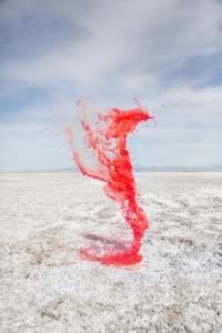 Colourant (c) Cassandra Warner & Jeremy Floto