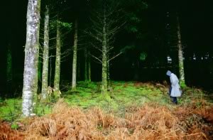 Guido in the forest, Dordogne, 2005 © Nan Goldin