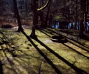 View from my window at dawn, Biesenthal, Germany, 2015 © Nan Goldin