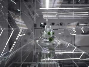 Hugo_Deverchere_the_Crystal_The_Blind_2018-(3)