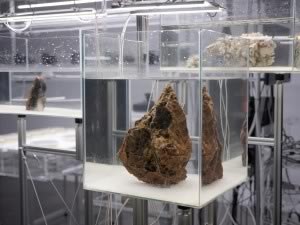 Hugo_Deverchere_the_Crystal_The_Blind_2018-(4)