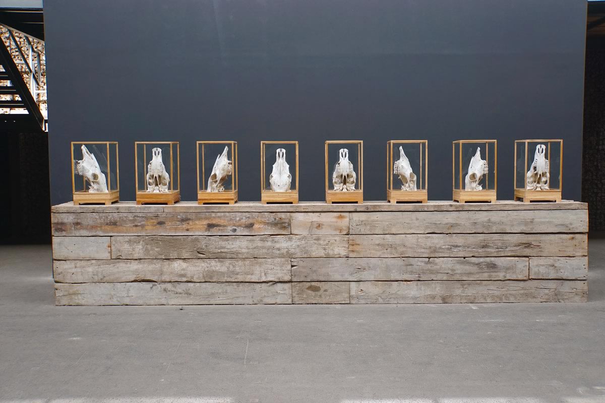 herman de Vries, In Memoriam de Koeien © Julien Damien