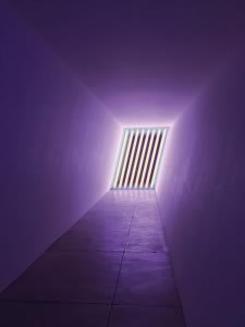 L'art à pleins tubes Dan Flavin © Pierre Millet