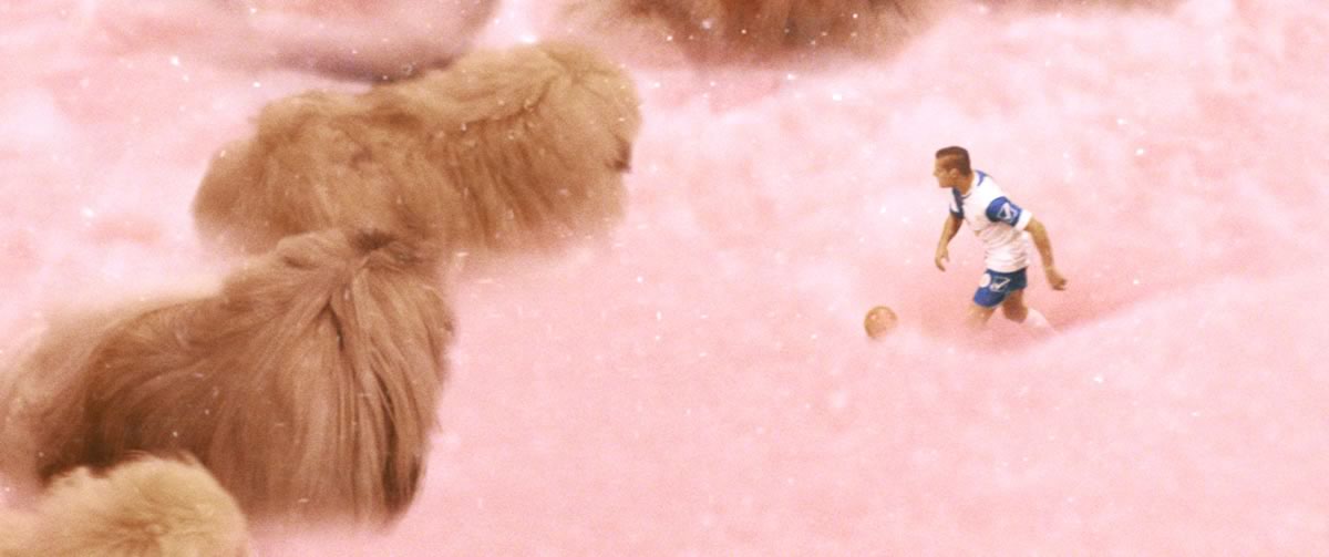 Cine_diamantino_chiens©ufodistribution