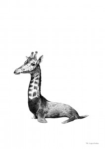 A type of Walrus © Nina Vanhaverbeke