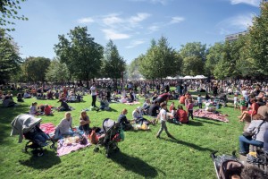 Grand Briquet © Renaud Wailliez