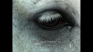 © Les Bookmakers, Capricci Films