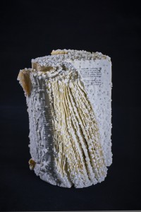 mineralia © Alexis-Arnold
