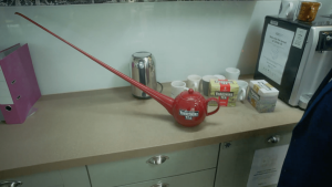 (c)  Yorkshire Tea