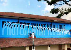 Protect What You Love (Wailuku, USA) - (c) Ben Johnston