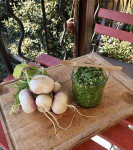 Pesto aux fanes de navet (c) Louise Browaeys
